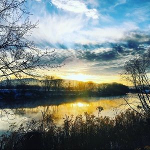 Meet your Posher, Tammi